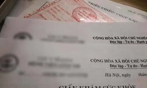 Hà Nội: Truy tố 8 người trong đường dây làm giả giấy khám sức khỏe