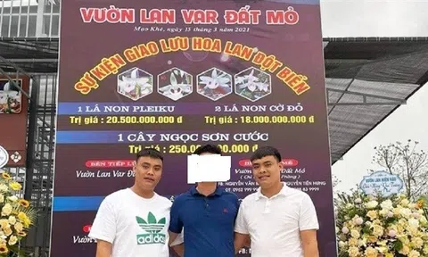 Tiết lộ nguyên nhân hai anh em "đại gia" lan đột biến khét tiếng Quảng Ninh bị bắt