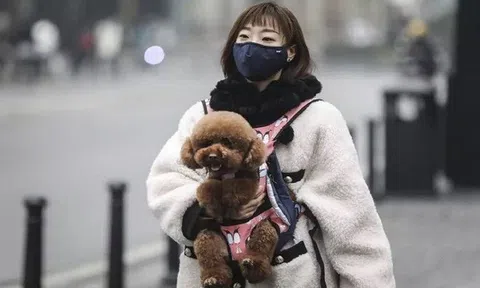 Bộ Y tế cảnh báo 'Covid-19 có thể lây sang vật nuôi'