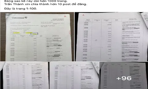 Chuyên gia tội phạm học nói gì khi Trấn Thành tung bản sao kê 1.000 trang?