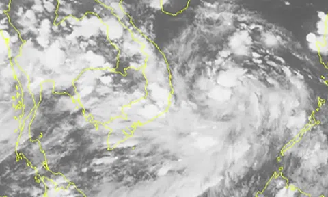 Áp thấp đã mạnh lên thành áp thấp nhiệt đới, gió giật cấp 8