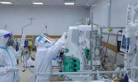 Sáng 24/9: Hơn 493.400 bệnh nhân Covid-19 đã được chữa khỏi, Hải Dương tìm người liên quan đến ca F0