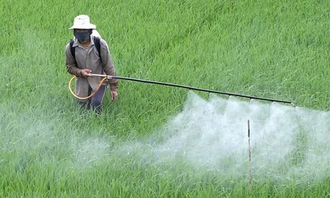 Phân định rõ trách nhiệm của “người gây ô nhiễm phải trả tiền”