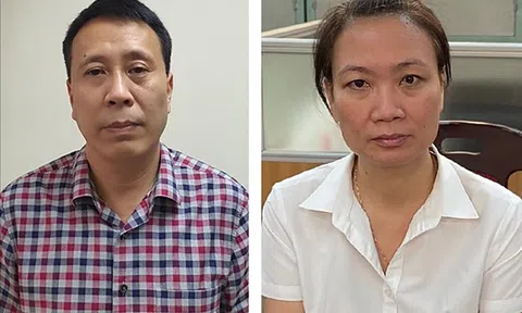 Vụ "thổi giá" cây xanh ở Hà Nội: Bắt tạm giam thêm 4 bị can