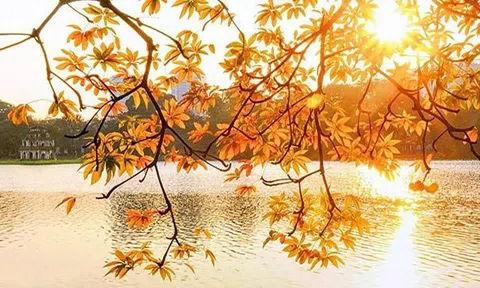 Dự báo thời tiết 7/10: Bắc bộ có nắng, Trung bộ mưa như trút nước