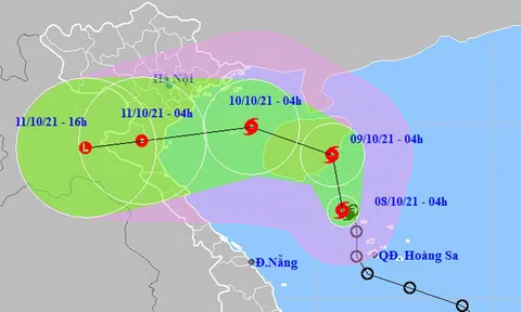 Áp thấp nhiệt đới đã mạnh lên thành bão, gió giật cấp 10