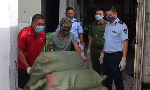 Quản lý thị trường Hà Nội tiêu hủy 7 tấn nầm lợn không rõ nguồn gốc