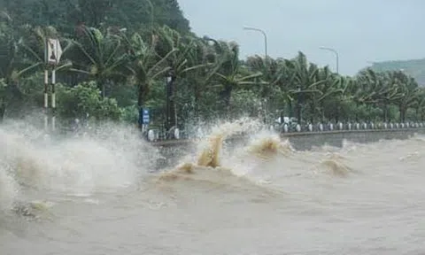 Dự báo thời tiết 13/10: Bão số 8 giật cấp 14 hướng vào đất liền, Bắc bộ trời mưa lạnh