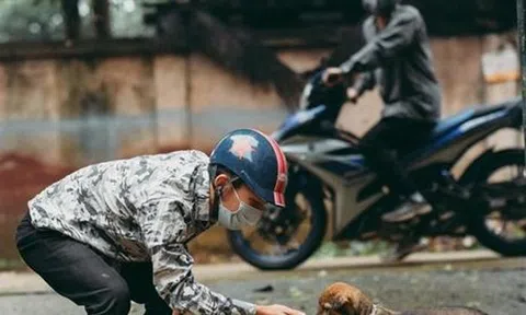 "Nữ quái" cùng đồng bọn thực hiện hơn 100 vụ trộm chó: Sống dưới vỏ bọc nghề đồng nát