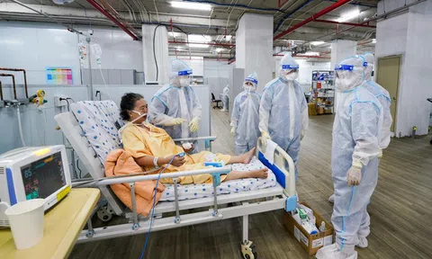 Sáng 15/10: Đã có hơn 785.100 bệnh nhân Covid-19 ở nước ta khỏi; thế giới vượt 240 triệu ca mắc