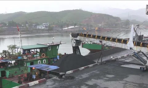 Bắt giam 4 cán bộ Công ty Tuyển than Hòn Gai