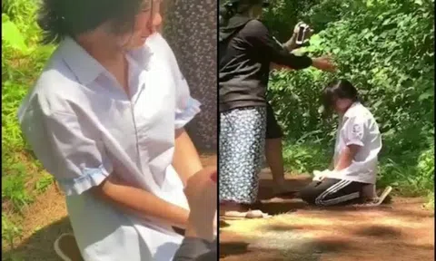 Phẫn nộ clip nữ sinh lớp 7 quỳ gối giữa rừng, bị tát liên tiếp vào mặt