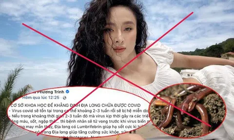 Đăng tin thất thiệt giun đất chữa Covid-19, Angela Phương Trinh bị phạt 7,5 triệu đồng