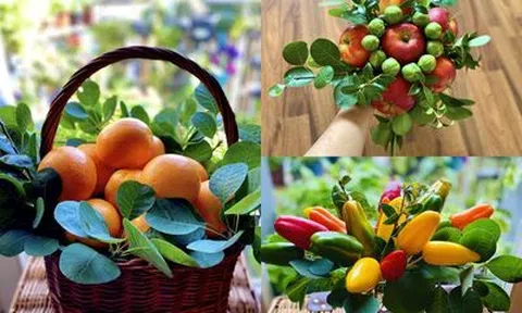 "Giỏ hoa" trái cây ngập tràn sắc màu của vợ đảm Hà Nội khiến dân tình "lóa mắt"