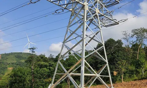 Thông tin chính thức vụ nam sinh lớp 6 tử vong bên cột điện