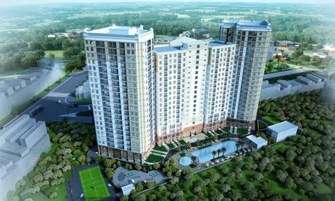 Thoái vốn hàng loạt công ty con, Nhà Thủ Đức còn lại gì?