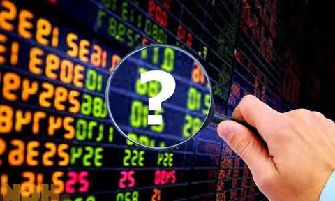 Công bố thông tin không đúng thời hạn, CTCP Đầu tư và Phát triển Doanh nghiệp Việt Nam bị phạt nặng