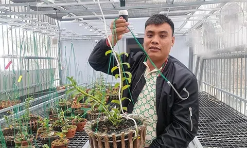 Vụ anh em đại gia lan đột biến điều hành đường dây than lậu: Khởi tố thêm 7 người