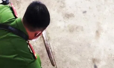 Đang chơi ngoài sân, cháu bé 4 tuổi bị dao bay trúng cổ tử vong