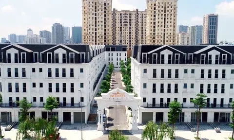 Vimefulland của bà chủ Vimedimex vay vốn ngân hàng như thế nào?