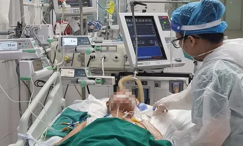 Sáng 26/11: Có 751 bệnh nhân Covid-19 đang thở máy, ECMO; TP Cần Thơ lần đầu tiên ghi nhận F0 lên 4 con số