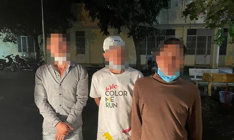 Bắt nhóm người xông vào phòng trọ, dùng kim tiêm khống chế để cướp chim cảnh
