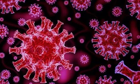 Hàng loạt hãng dược tăng tốc ứng phó với biến thể Covid-19 mới