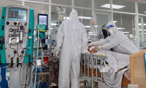 Sáng 1/12: Gần 5.800 ca COVID-19 nặng đang điều trị; Yên Bái khẩn tìm người đến 46 địa điểm có ca F0