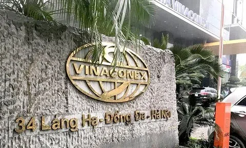 Doanh nghiệp 1 tháng tuổi sở hữu cổ phần chi phối Vinaconex