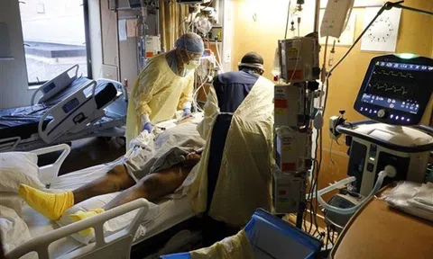 Chưa đủ dữ liệu để biết Omicron có gây bệnh nặng hay không