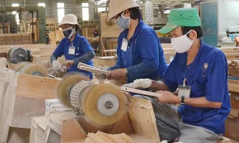 Gỗ Trường Thành sạch nợ ngân hàng, đang dùng tiền của ai?