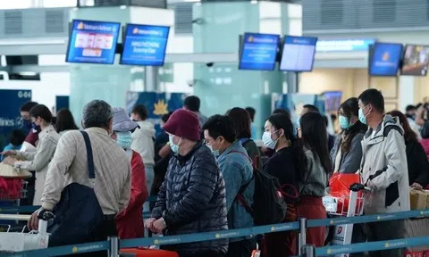 Đề xuất tăng tần suất khai thác một số đường bay phục vụ Tết