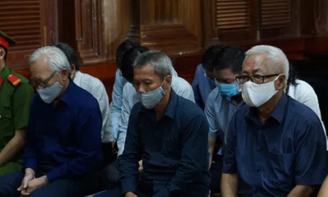 Xét xử phúc thẩm vụ Trần Phương Bình và đồng phạm gây thiệt hại hơn 8.800 tỷ đồng