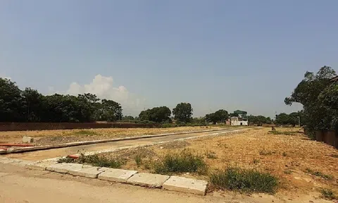 Sửa đổi, bổ sung một số quy định xử phạt hành chính lĩnh vực đất đai