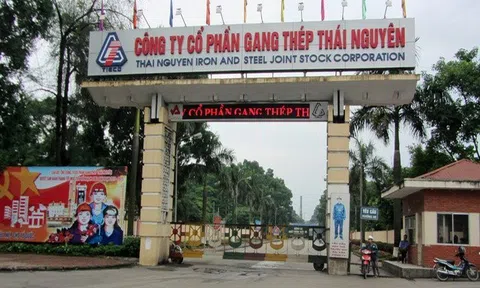 Gang thép Thái Nguyên báo lãi năm 2021 tăng 13 lần, ở mức 122 tỷ đồng