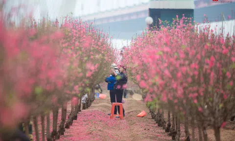 Nỗi niềm của người lao động xa quê: “Tết này con không về”