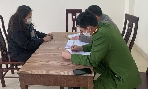 Bắt "nữ quái" lừa chạy án chiếm đoạt hàng trăm triệu đồng