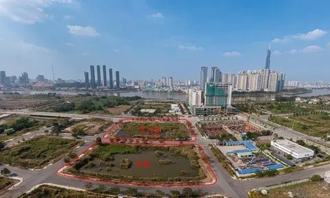 Câu chuyện đấu giá đất: Từ "quân xanh - quân đỏ" đến cả “giang hồ”