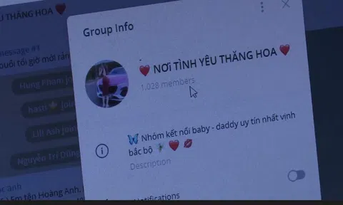 Lời khai của “tú ông” điều hành đường dây môi giới mại dâm Sugar Baby giá 20 triệu đồng