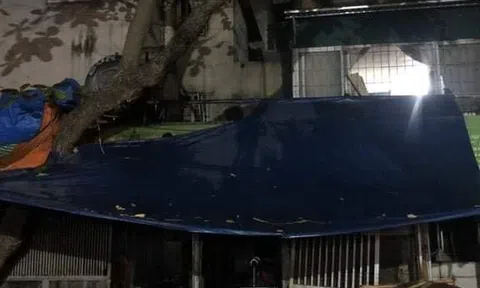 Hà Nội: Cháy lớn ở Kim Liên, 5 người trong gia đình tử vong thương tâm