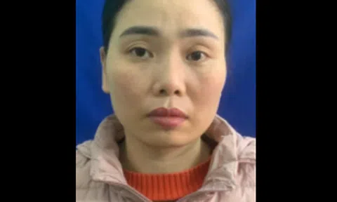 Vì sao nguyên cán bộ Thanh tra tỉnh Vĩnh Phúc bị khởi tố?