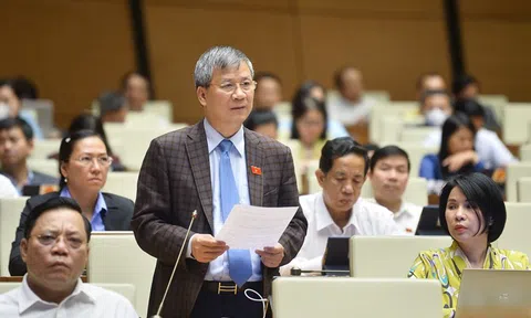 Loạt sai phạm trong ngành y, ĐBQH nói do luật không theo kịp