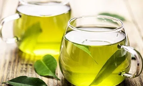 Những điều cần lưu ý khi uống nước lá vối
