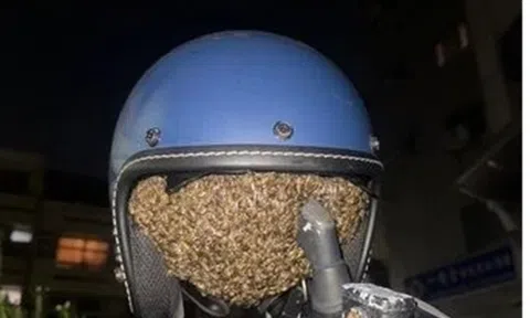 Đội mũ bảo hiểm sau 1 đêm treo ngoài trời, cô gái khuỵu ngã vì cơn đau buốt tận óc