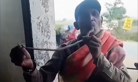 Phớt lờ tử thần để "sống ảo", người đàn ông tử nạn vì màn hôn rắn hổ mang gây sốc