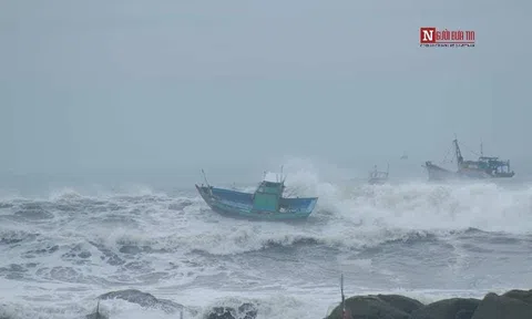 Bình Thuận hỗ trợ tìm kiếm ngư dân mất tích trên tàu cá của tỉnh Quảng Nam