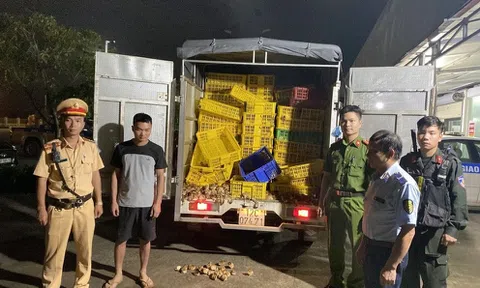 Quyết liệt ngăn chặn gia súc, gia cầm nhập lậu