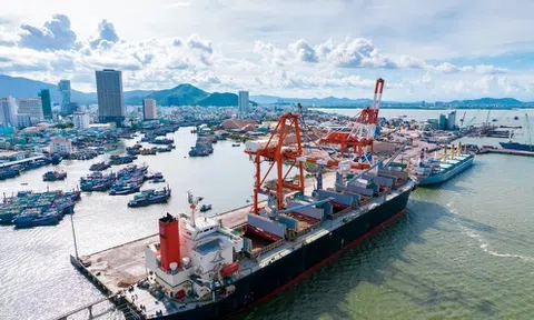 Đầu tư nâng cấp bến cảng, Cảng Quy Nhơn tăng nợ thêm 42%