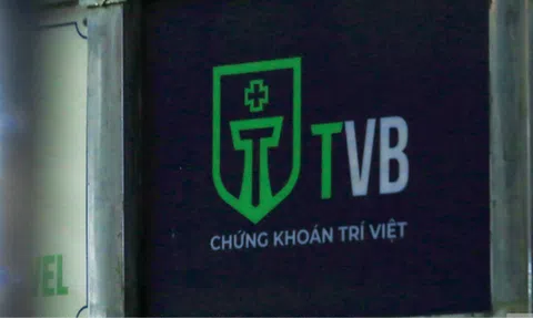 Cổ phiếu của Chứng khoán Trí Việt được "cởi trói" hậu lùm xùm lãnh đạo