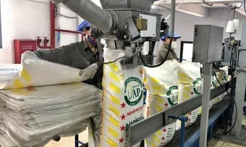 Lãi quý IV/2023 tăng gấp 8,8 lần, DAP-Vinachem vẫn hụt chỉ tiêu cả năm